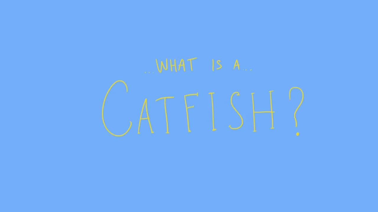 Still from Catfish Promo