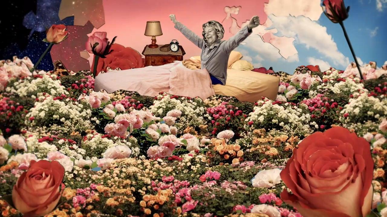 Still from The Lady and the Dale